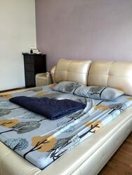 ClementiWoods Condominium (D5), Condominium #450090511